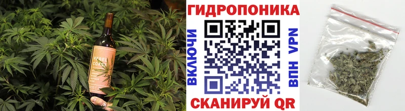 Canna-Cookies конопля  блэк спрут маркетплейс  Прохладный 