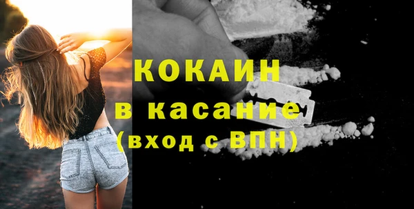 сатива Каменск-Шахтинский