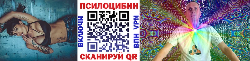 Галлюциногенные грибы Psilocybine cubensis  купить наркоту  Прохладный 